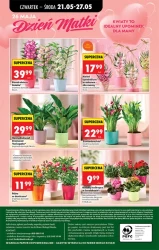 Smaczne promocje – Biedronka