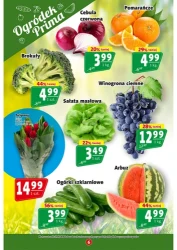 Super ceny na start – Prim Market