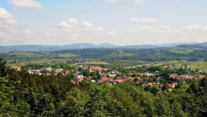 Wyjątkowa ścieżka w koronach drzew. Zobaczysz z niej Kotlinę Sądecką 