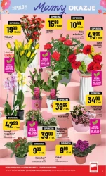 Zakupy z korzyścią – Polomarket