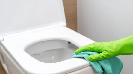 Z naszym domowym sposobem wyczyścisz toaletę bez szorowania. 