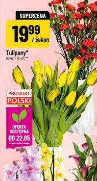 Букет Tulipany