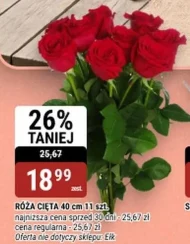 Роза E
