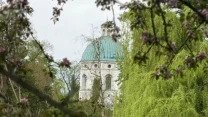 Biała kopuła klasycystycznej budowli przebijająca się przez gęste zielone gałęzie drzew oraz kwitnące gałązki na pierwszym planie.