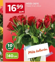 Bukiet róż