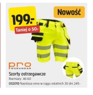 Шорти Pro Workwear