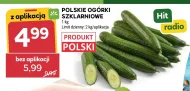 Огірки Hit