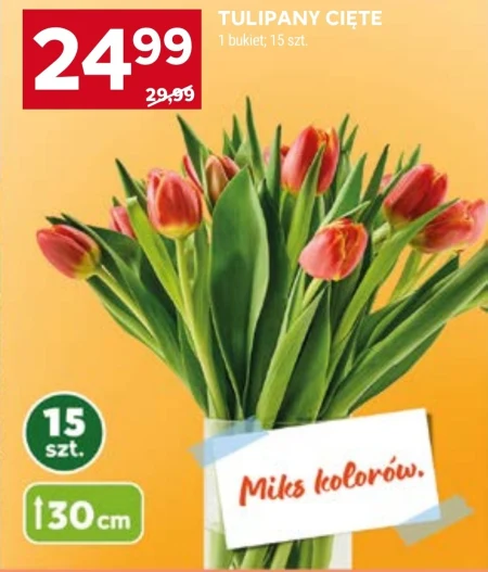 Букет тюльпанів Tulipany