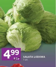 Sałata lodowa