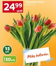 Букет тюльпанів Tulipany