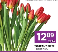 Bukiet tulipanów Tulipany