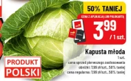 Kapusta młoda Polski