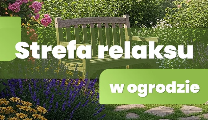 Strega relaksu w ogrodzie