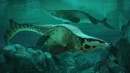 Tylozaur rex to nowy gatunek mozazaura. Miał wielkość wieloryba humbaka