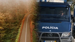 Szokująca historia z Portugalii. Opiekunowie porzucili małych chłopców w lesie i odjechali