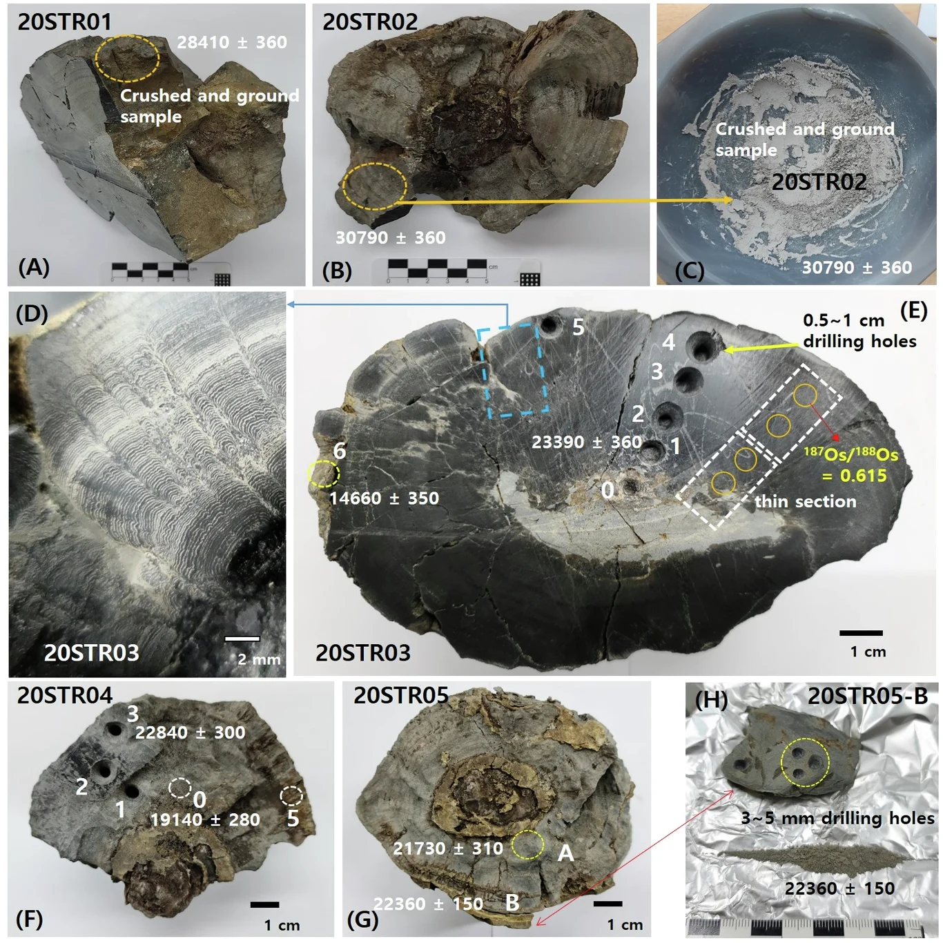 Fragmenty różnych próbek geologicznych z widocznymi otworami po wierceniu, zaznaczonymi obszarami cięć i wycinków przeznaczonych do analizy, a także etykietami zawierającymi numery próbek, wartości pomiarów i skale dla porównania rozmiarów.