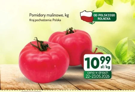 Помідори