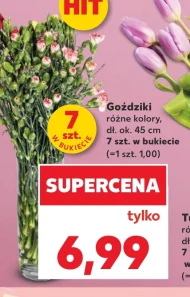 Goździki Ok.