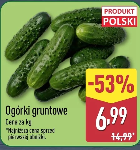 Огірки Polski