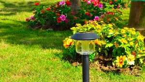Tak oświetlisz ogród jak z katalogu. Wystarczy kilka lamp i dobry plan