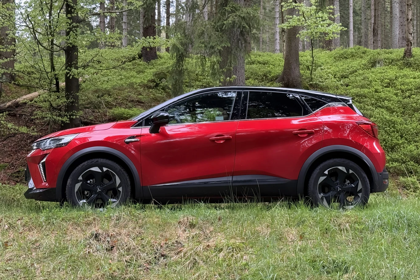 Czerwony samochód typu SUV zaparkowany na zielonej trawie przy lesie, na tle drzew iglastych i liściastych.