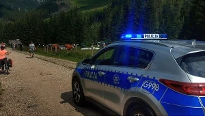 Rajd Ukraińca nad Morskie Oko. Nowe działania służb (zdj. ilustracyjne)