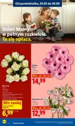 Świeże produkty w atrakcyjnych cenach! - Lidl