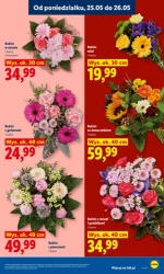 Świeże produkty w atrakcyjnych cenach! - Lidl