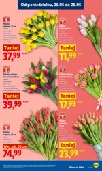 Świeże produkty w atrakcyjnych cenach! - Lidl