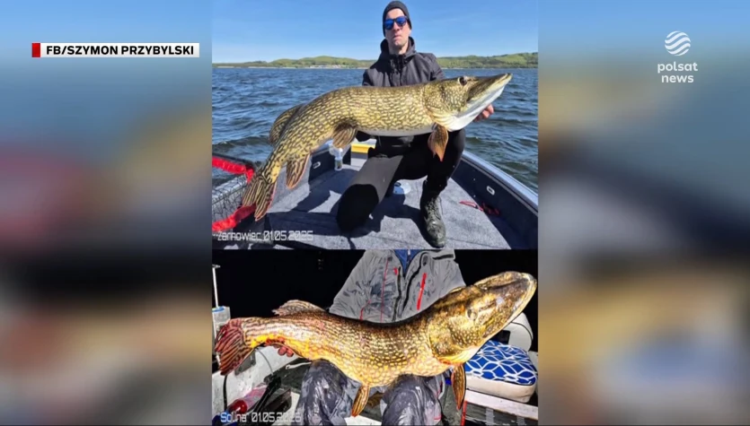 "Wydarzenia": Wędkarskie oszustwo. Influencer pochwalił się fałszywym rekordem