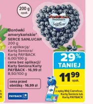 Borówki amerykańskie Sanlucar