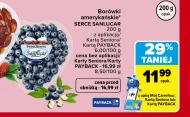 Borówki amerykańskie Sanlucar