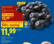 Borówki amerykańskie