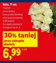 Róża