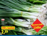 Зелена цибуля Ryneczek Lidla