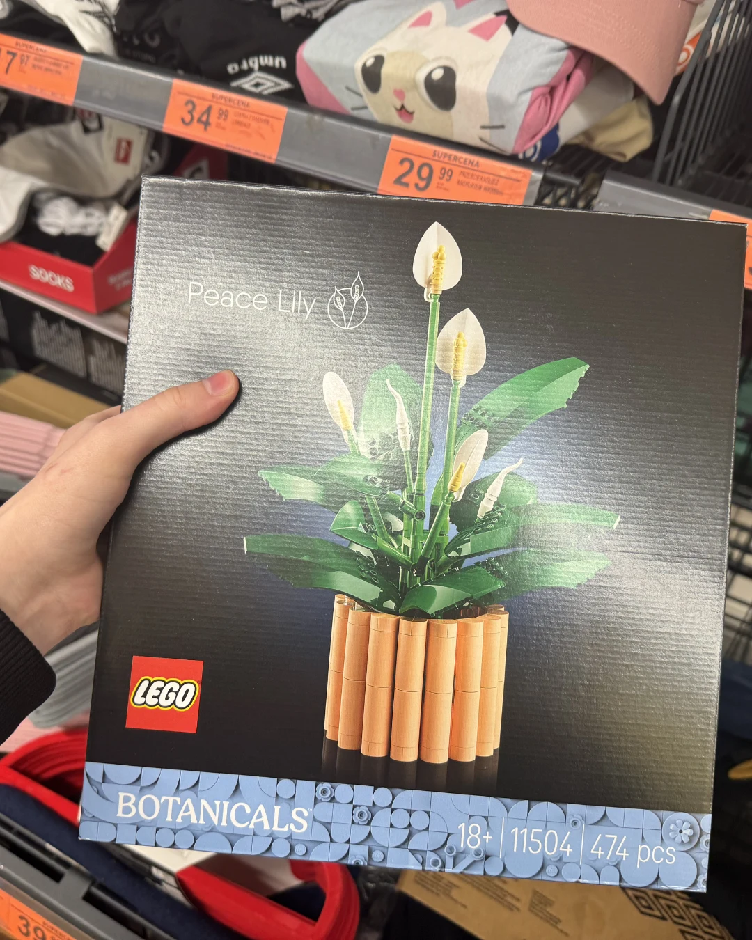 Zestaw LEGO Botanicals przedstawiający kwiat skrzydłokwiatu w doniczce, trzymany w dłoni na tle sklepowych półek z ubraniami i cenami.