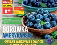 Borówka amerykańska Biedronka