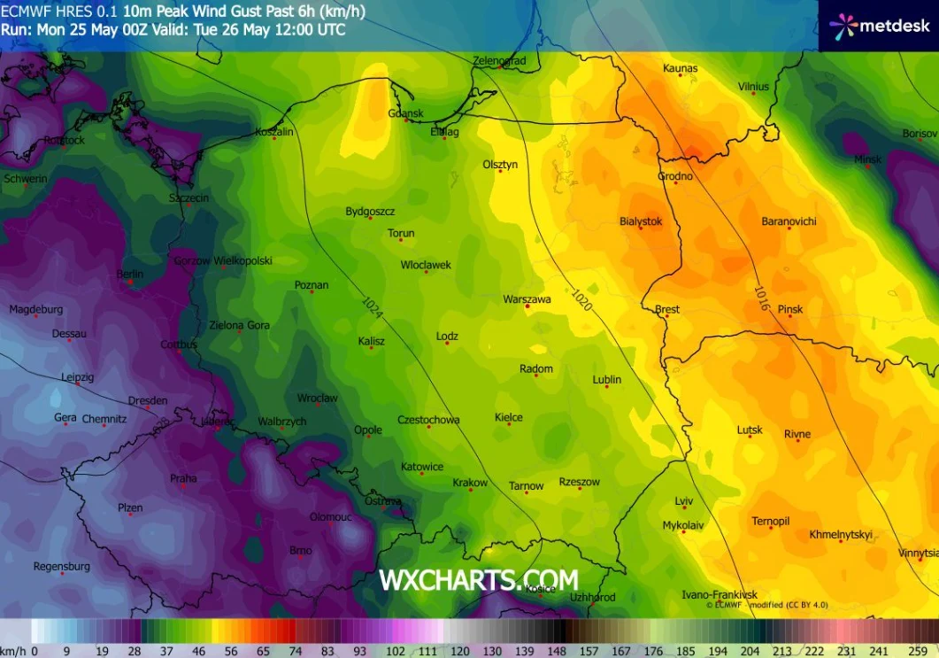 Im bliżej środka tygodnia, tym mocniejsze będą porywy wiatru. Miejscami przekroczą 60 km/h Mapa Polski z kolorystycznym oznaczeniem intensywności porywów wiatru, gdzie centralna i wschodnia część kraju zaznaczona jest odcieniami żółci i pomarańczy, wskazując na większą siłę wiatru, podczas gdy zachodnie i południowo-zachodnie regiony są ozna...
