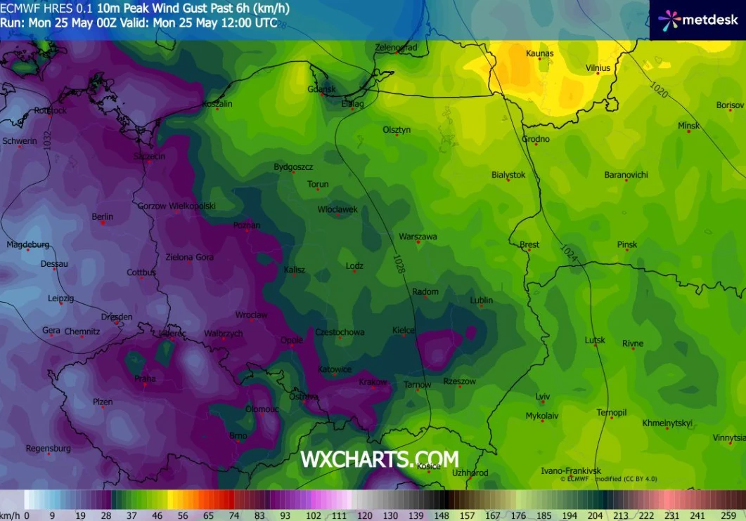 Mapa Polski z prognozą maksymalnych porywów wiatru, intensywne fioletowe i ciemnozielone barwy wskazują na wysokie wartości w zachodniej części kraju, podczas gdy wschodnia część oznaczona jest jaśniejszymi odcieniami zieleni, co oznacza mniejsze prędk...