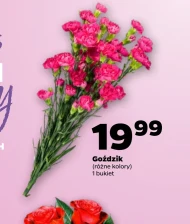 Goździk