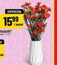 Goździk