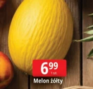 Melon S!