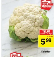 Kalafior