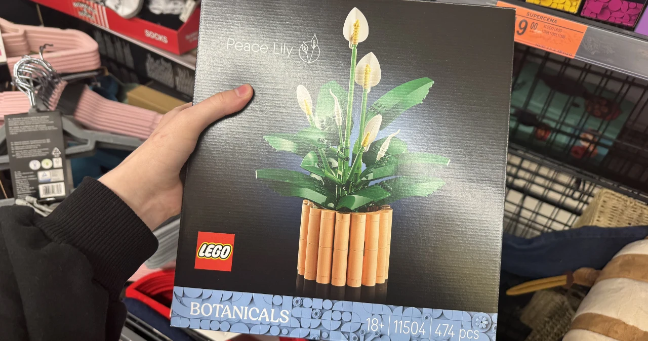 LEGO Botanical 20 zł taniej, praliny 1+1 i tulipany 2+1. Lidl i Biedronka kończą dziś te promocje Zestaw LEGO Botanical Lilia Pokojowa w czarno-niebieskim opakowaniu, trzymany przez osobę w sklepie.