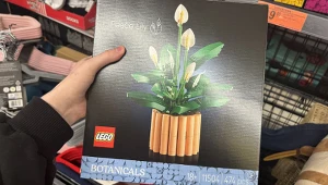 LEGO Botanical 20 zł taniej, praliny 1+1 i tulipany 2+1. Lidl i Biedronka kończą dziś te promocje