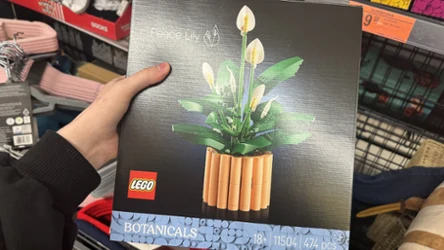 LEGO Botanical 20 zł taniej, praliny 1+1 i tulipany 2+1. Lidl i Biedronka kończą dziś te promocje