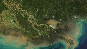 Wybrzeże Luizjany widoczne z satelity Terra (zdj. z 2024 r.). Zatoka Meksykańska może odciąć lub zatopić Nowy Orlean