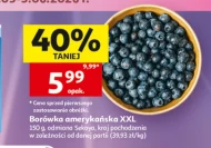 Чорниця