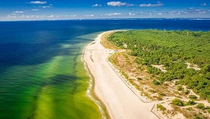 Żółty osad na powierzchni wody może niepokoić 