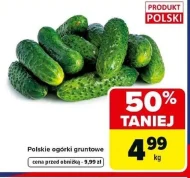 Огірки Polski